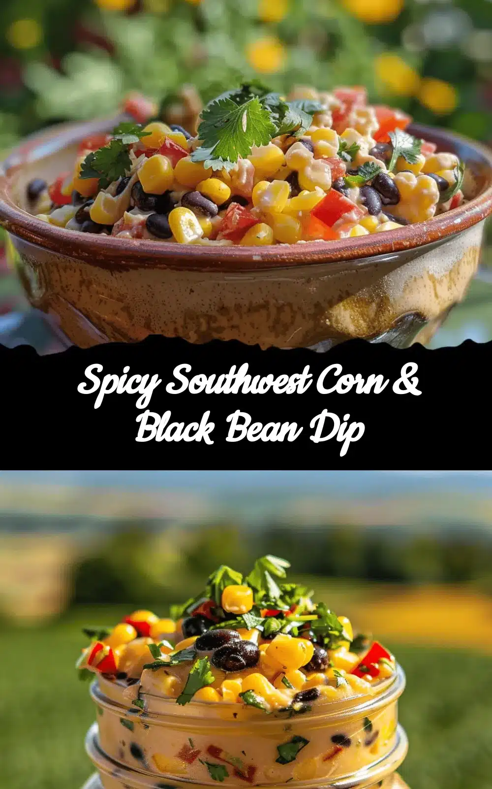 Southwest corn and black bean dip recipe