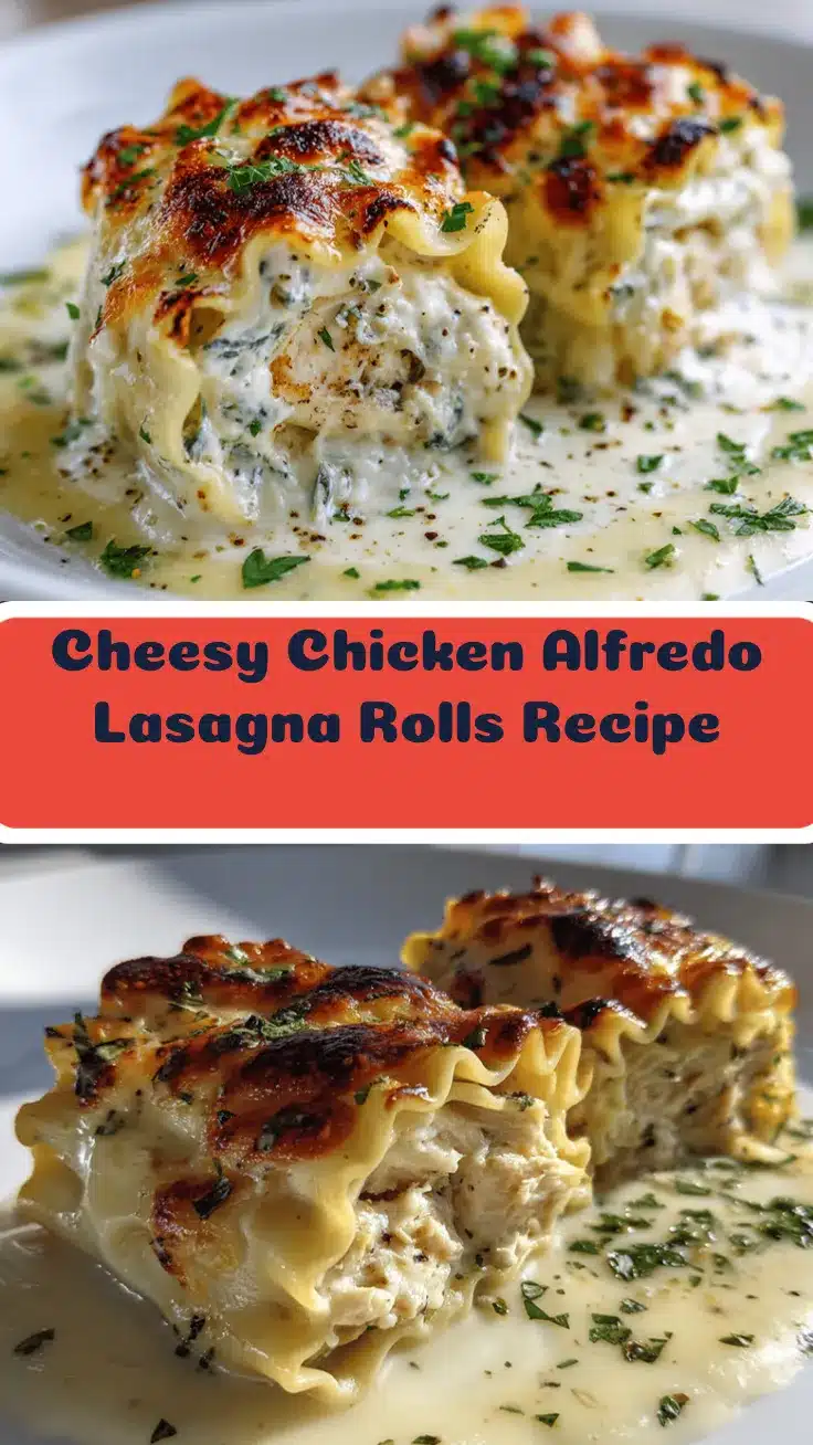 cheesy chicken Alfredo lasagna rolls recipe